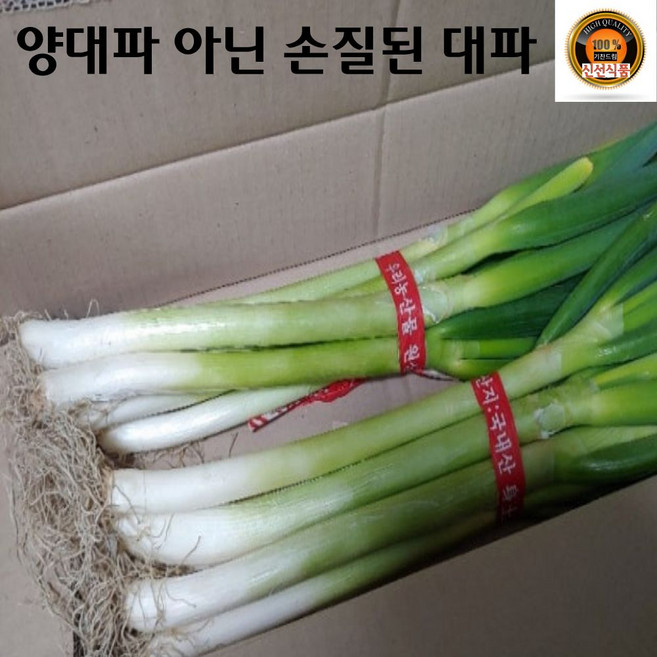 국내산 손질 대파 1단 (2k 내외) (양대파 아님), 2kg, 1개