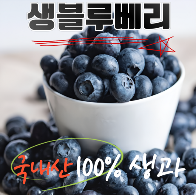 탱글한 식감 상큼한 맛 국내산 생 블루베리, 1개, 18mm 600g (100gx6)