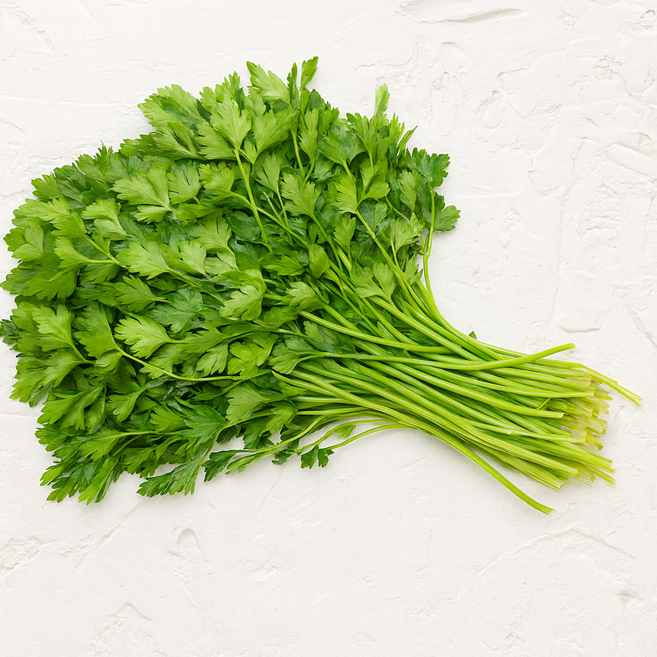 테이블센스 이탈리안 파슬리 향나물 가락시장 당일경매 이태리 파세리, 1개, 1kg