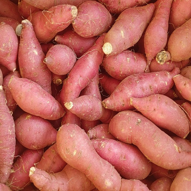 국내산 한입 꿀고구마(60g이하), 10kg, 1박스
