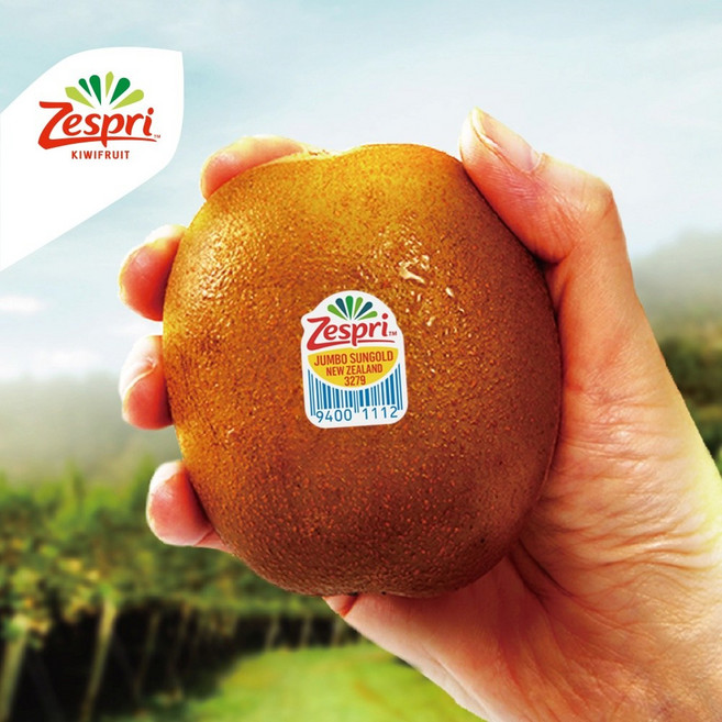 제스프리 썬골드키위 슈퍼점보과, 1개, 개당 155g내외, 3.4kg (22입)