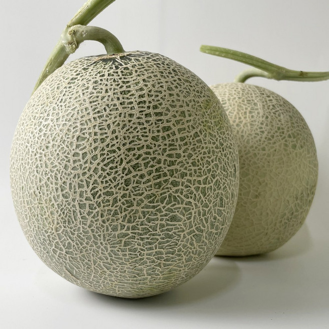 달콤한 고당도 머스크 멜론 메론, 1개, 중과 6수(7kg 내외)