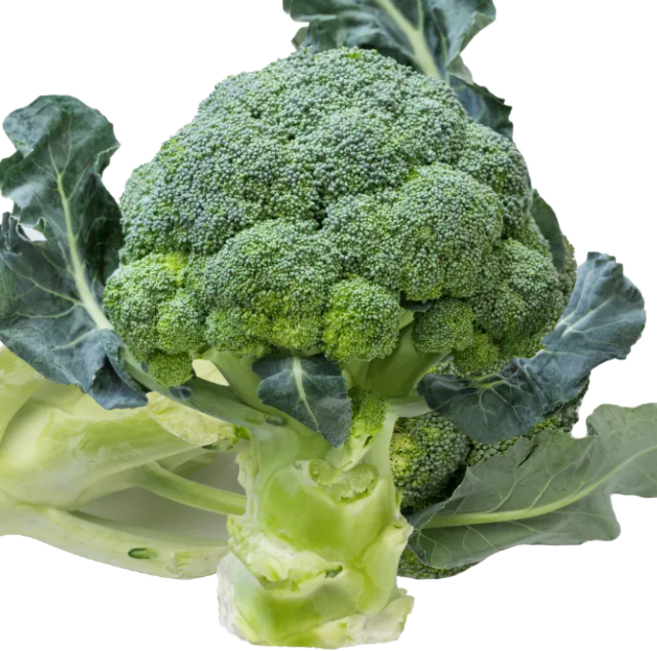 친환경 로컬푸드 브로콜리 특품 신선채소, 1kg, 1개, 1kg