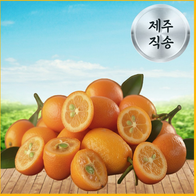 [제주농가직송] 새콤달콤 제주 금귤 낑깡, 1개, 3kg