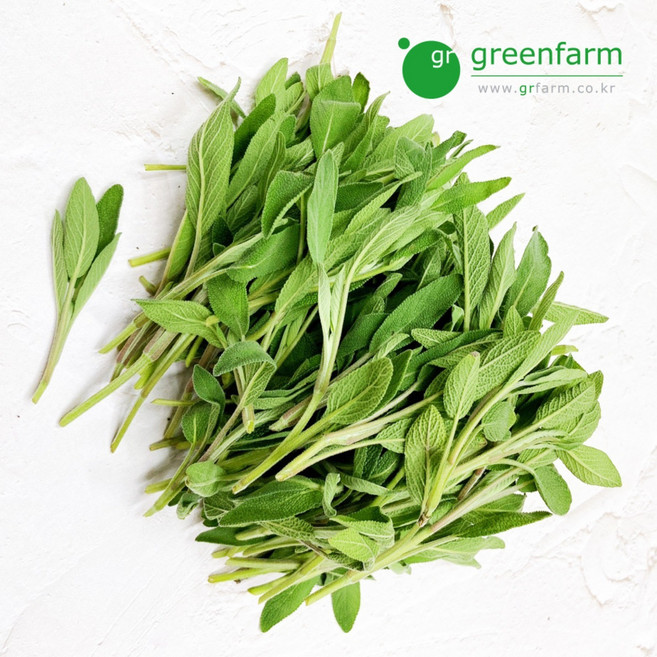 세이지 100g, 1개