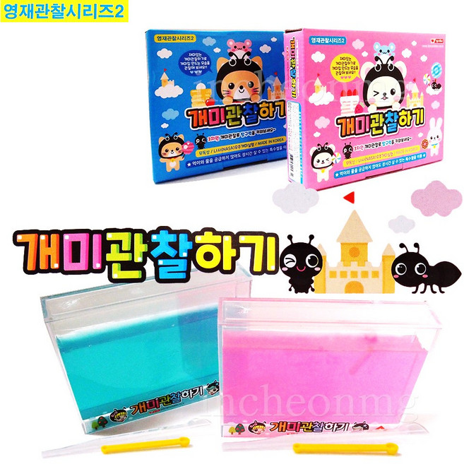 차카니샵 13000 개미 관찰하기 키우기 영재관찰시리즈2, 블루, 1개
