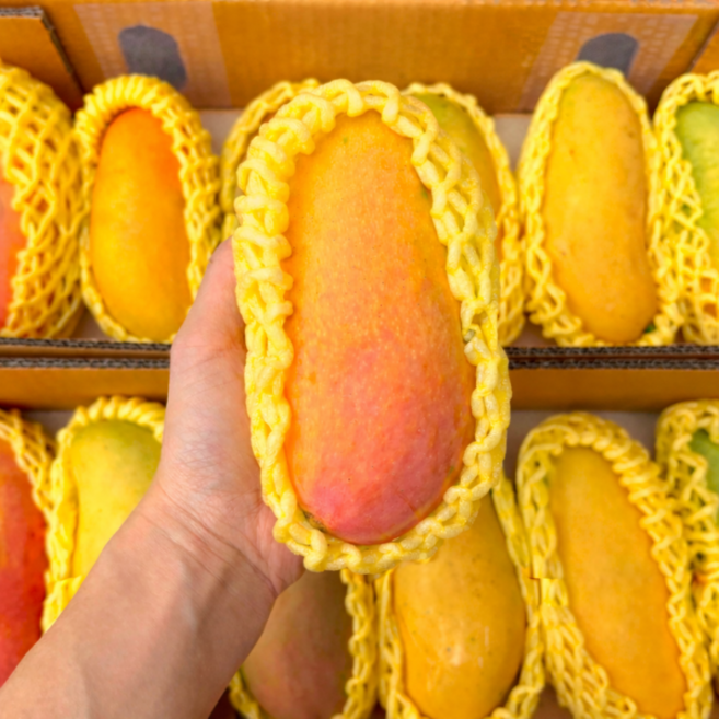 18brix 고당도선별 무지개망고 마하차녹 망고, 1개, 4kg (10과 내외)