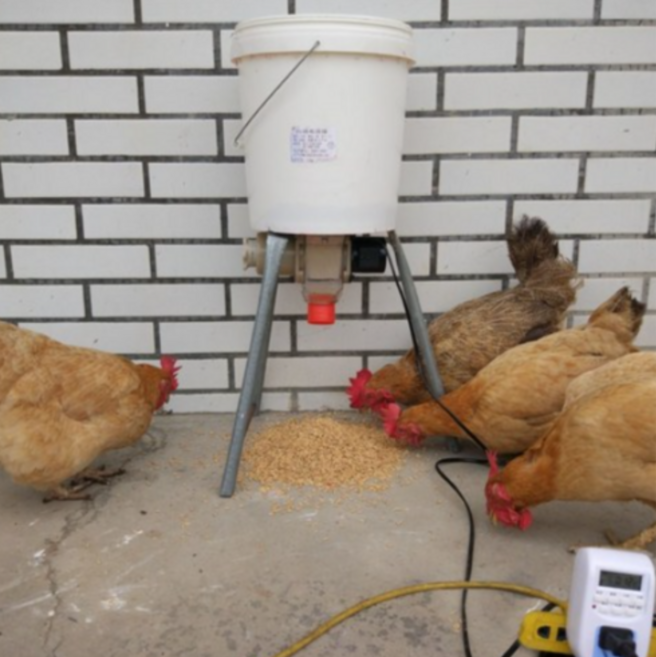 닭자동모이 공급기 배식 양계장 메추리 타이밍 소농 타이머 1개, 12V 110V 타이머형 × 1개