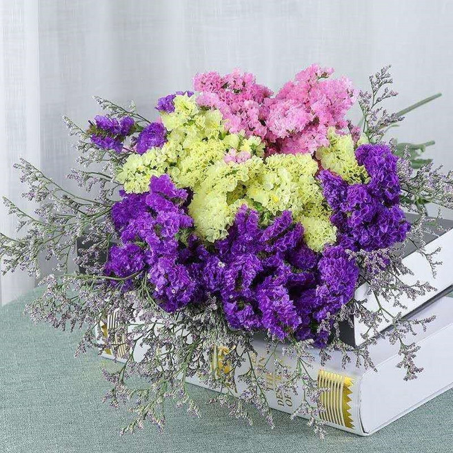 滿天星乾花束含花瓶, 紫粉黃勿忘我 情人草 - 不帶花瓶, 1件