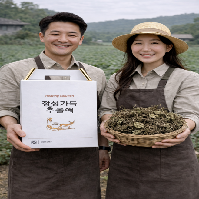 내몸에 자연가득 질경이 즙 액기스 차전초즙, 60개입, 60개