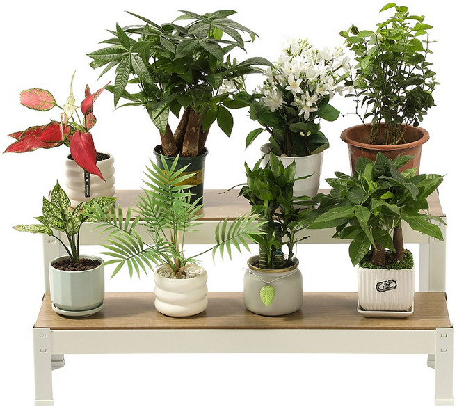 홈치치 화분 선반대 받침대 진열대, 2단, 화이트 800