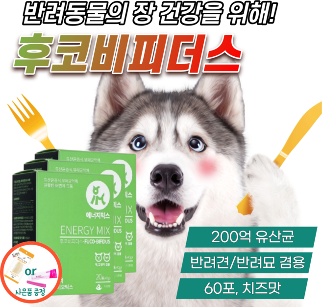 강아지 장 건강 에 도움 스틱 영양제 고양이 펫 유산균 후코이단 비피더스 위 췌장 소화 에 좋은 보조제 반려견 위장 케어 분말 파우더 치즈 맛 프로바이오틱스 면역력 장염 설사 예방, 40g, 3개(60포)