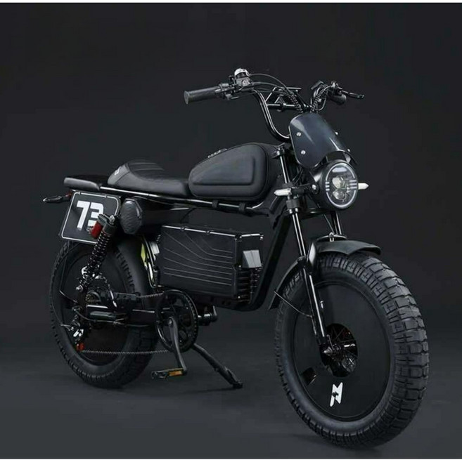 고출력 전기자전거 60V 신형 자토바이 페이스오프 N1 3000W 배달용, 페이스오프 N1 1000W 풀옵션 7단기어, 하이텐강