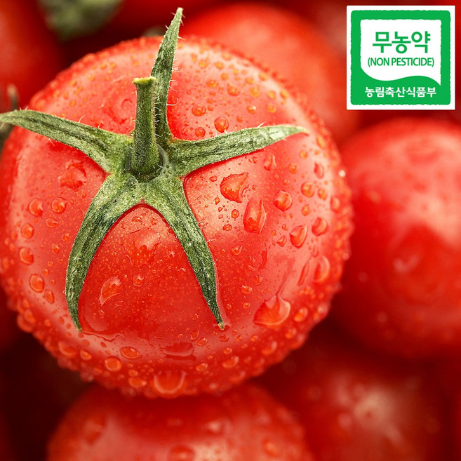 친환경 무농약 완숙 토마토 1kg 3kg 5kg, 1박스, 무농약 완숙토마토 2kg