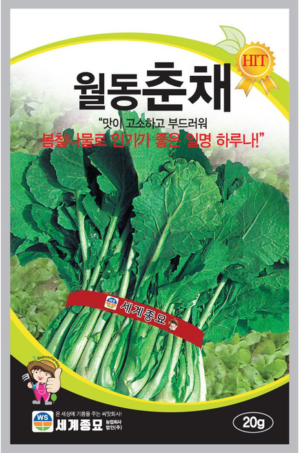 세계종묘 월동춘채 씨앗 20g, 1개