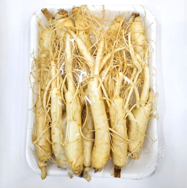 풍기인삼 풍기홍삼마을 수삼정품 12-18뿌리 1채 세척인삼, 1개