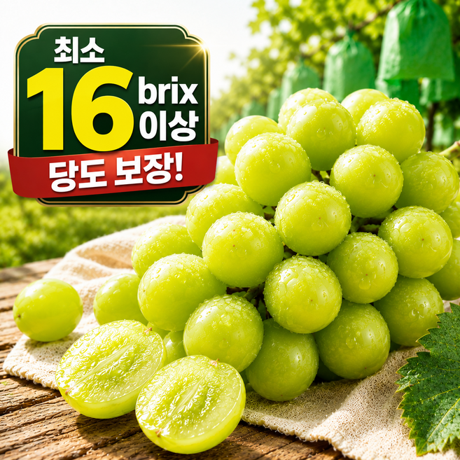 만족도1위 당일수확 16brix이상 국내산 샤인머스켓, 1개, 750g(1송이)