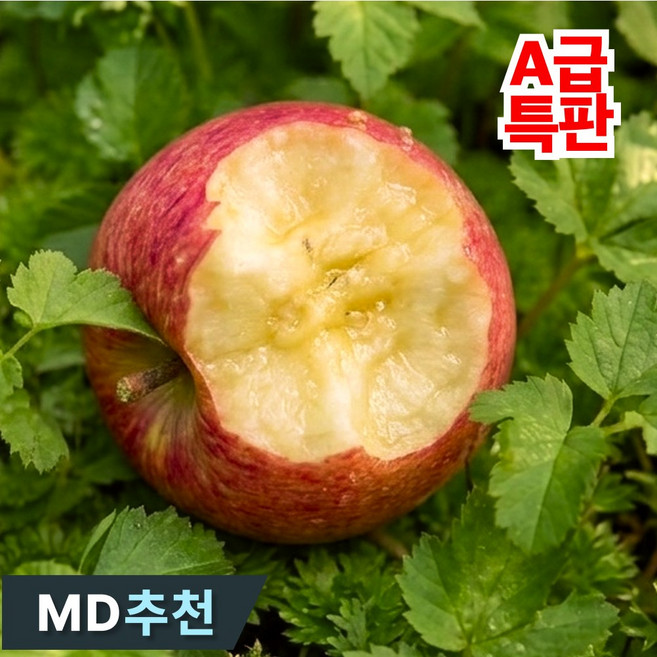 [재구매율1위] A급품위 아삭고당도 경북꿀사과 부사사과, 1박스, 10kg (대과)