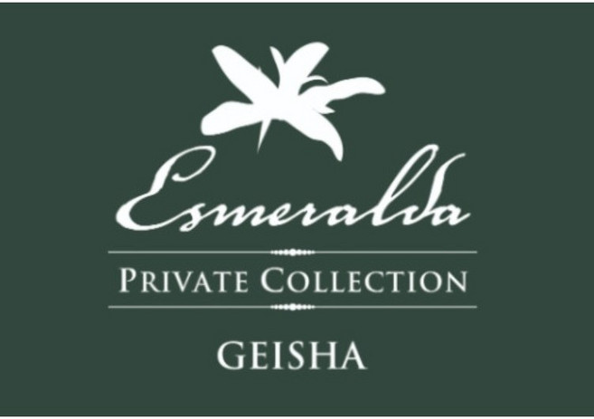 파나마 게이샤 하시엔다 라 에스메랄다 프라이빗 컬렉션 워시드 마이크로 랏 스페셜티 커피너드 원두 100g 200g, 더치, 1개