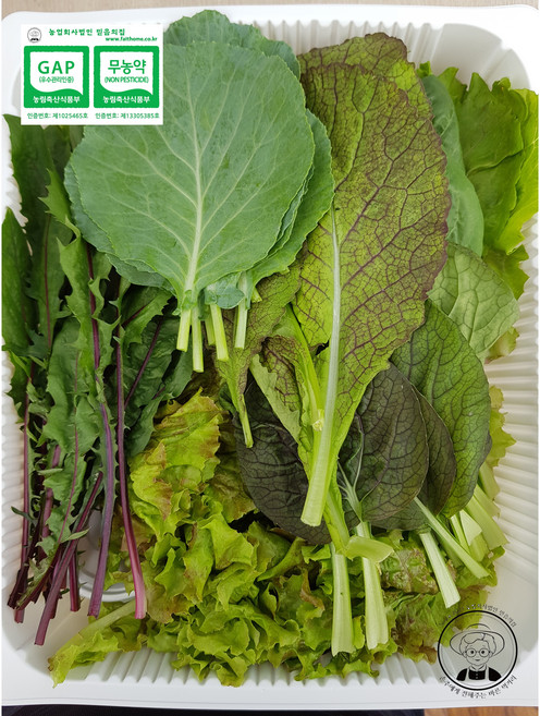 [농업회사법인 믿음의 집] 무농약 할머니 쌈채소 (수제쌈장포함), 1kg(1개), 1박스