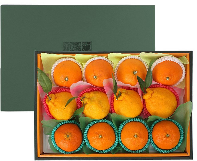 제주 특산 혼합 과일 선물세트 (천혜향4입+한라봉4입+레드향4입), 1박스, 3.6kg