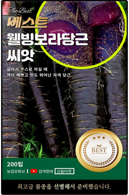 베스트 웰빙보라 당근 씨앗 200립 색이 진한 자색 당근씨 종자, 4개