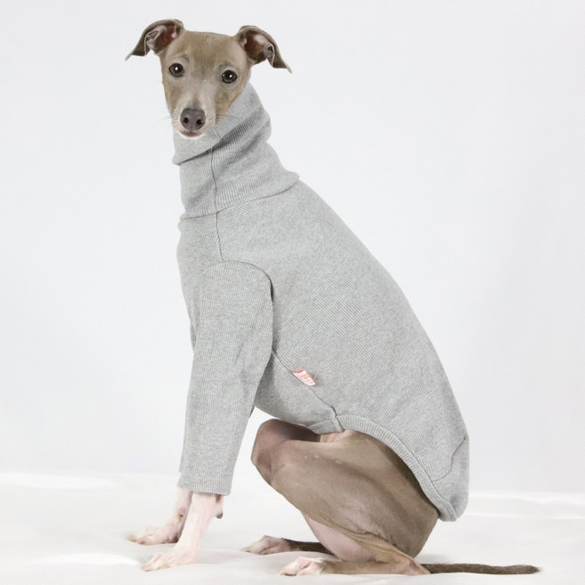 도기스타 아이쥐옷 이탈리안그레이하운드옷 신축짱 골지 기본 티셔츠, 그레이, 1개