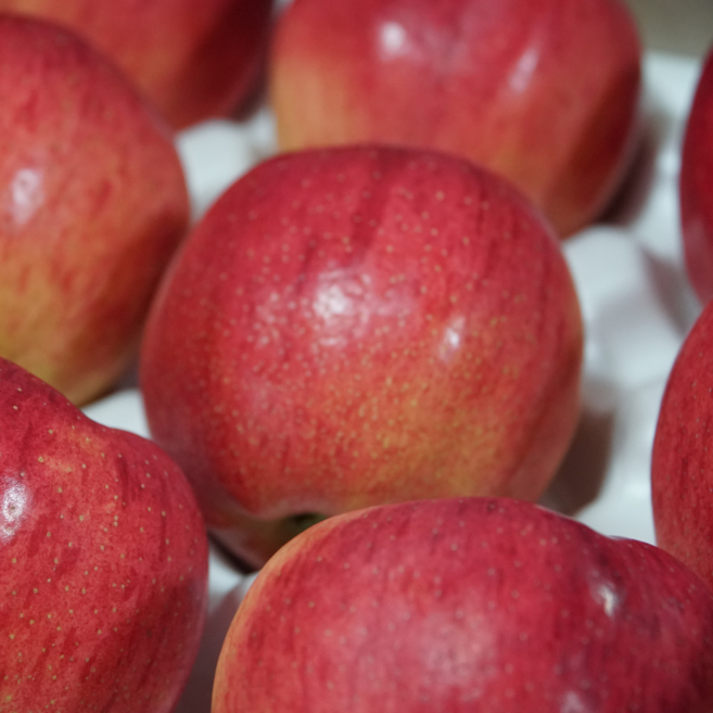 [한정특가] 25년햇사과 아삭달콤 고당도 홍로사과, 1개, 1kg