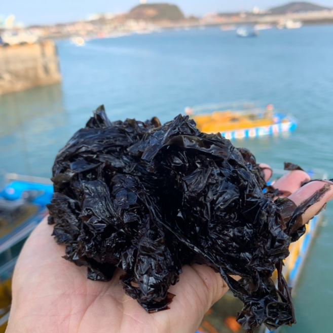 당일조업 물김 생김 급냉, 1박스, 1kg