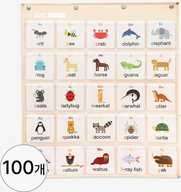 뮤고랑 한글 알파벳 단어카드 벽걸이 낱말카드꽂이 포켓 네모 차트, 1세트, 100개