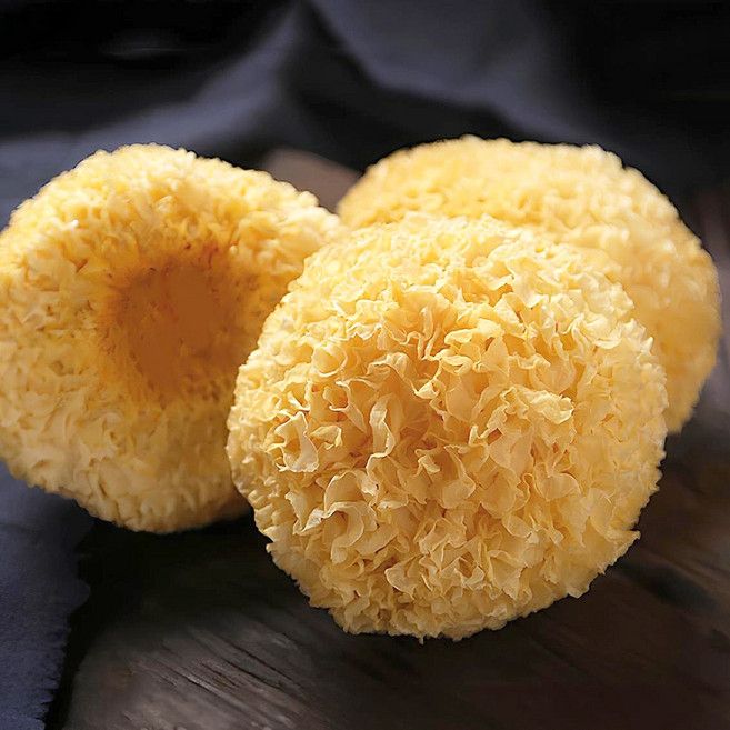 청정들 흰목이버섯, 1개, 1kg