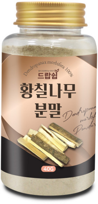 드랍쉽 황칠나무 분말(국산) 40g(통), 황칠나무 분말[국산] 40g[통], 40g, 1개