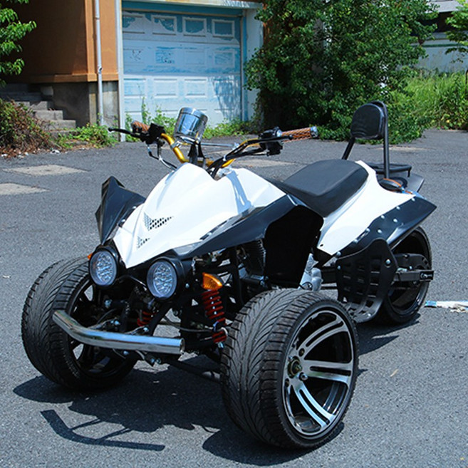 역삼륜 바이크 오프로드 오토바이 농촌 시골 스쿠터, 250cc 슈프림 타입