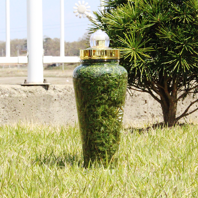 야관문주 담금주 키트 간편 세트 + 경산 대추 + 시나몬, 1개, 2.7L, 2.7L