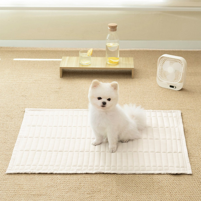 소하임 냉감 쿨링 통세탁 펫 쿨매트, 샌드베이지, 1개