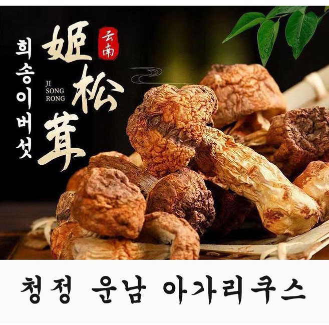 자연건조 아가리쿠스 버섯 신령버섯, 1개, 250g
