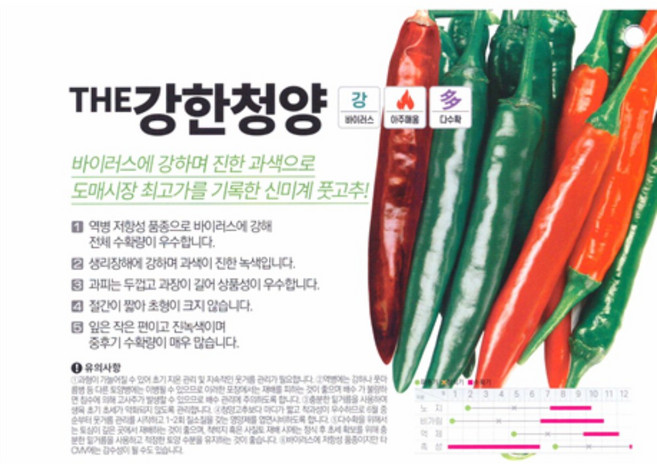 THE강한청양 고추 씨앗 1200립 팜한농 흥농 더강한청양 종자 식물나라스토어, 1개