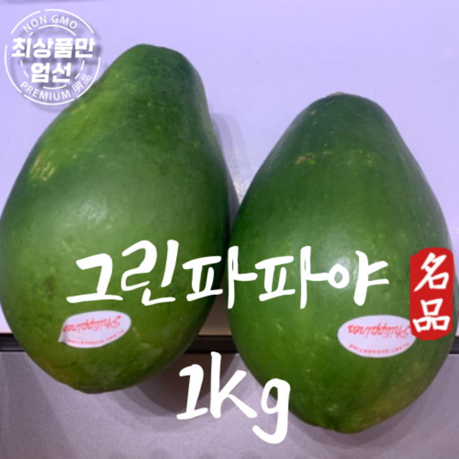 그린파파야 Green Papaya 생 파파야, 1개, 그린파파야 1kg