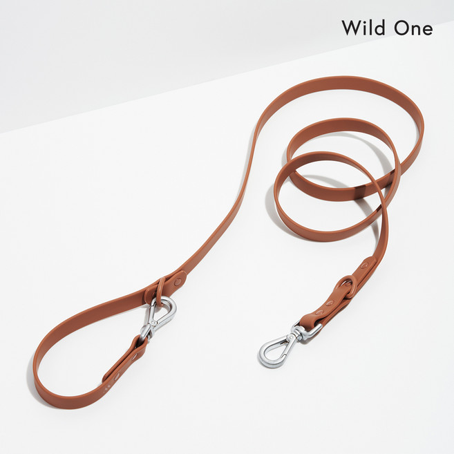 와일드원 방수 강아지 리드줄 산책줄 리쉬 소형견 중형견 대형견리드줄, 리드줄 코코아, 1개