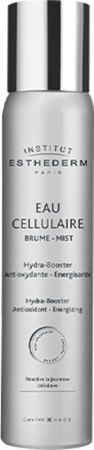 [피부과정품] 에스테덤 셀룰러워터 미스트 대용량 200ml 항산화 수분 하이드라, 100ml, 1개