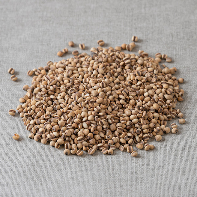 한가람건강원 국산 볶은율무 소량 샐러드 요거트 우유 토핑 100g 약초 약재 한방재료, 1개