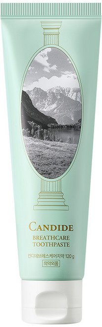 베러데이 칸디데 브레스케어 구취 입냄새 제거 치약, 1개, 120g