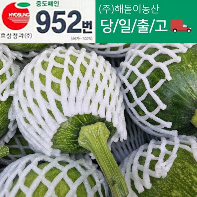 <해돋이농산> 국내산 조선호박 풋호박 둥근호박 10입 24입, 1개, 10개입
