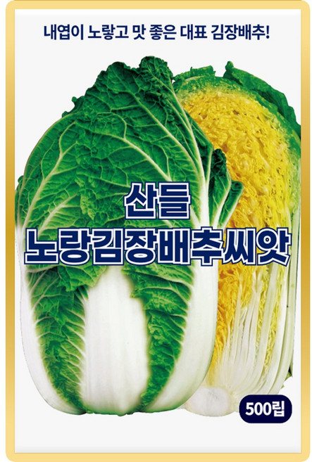 산들 노랑김장 배추씨앗 500립 내엽이 노랗고 맛 좋은 대표 김장배추씨 종자, 1개