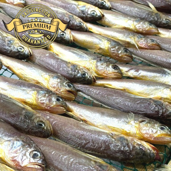 [재구매율이 높은] 여수 황금 참조기 해풍으로 건조 하여 손질 간이 되어 있는 급냉 참조기, 1개, 여수 황금 참조기4팩(32-40미)