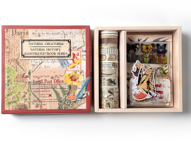 빈티지 마스킹 테이프 C 타입 세트 (Vintage masking tape C type set), 자연 생물 / 자연사 그림책 시리즈, 1개