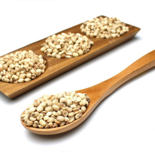 국산 율무 백미 500g 의이인 율무차, 1개