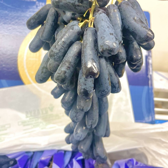 [제니네 제철과일] 산지직송 블랙사파이어 씨없는 가지포도 500g 1kg 2kg 4kg 8.2kg, 1개, 블랙 사파이어 포도 1kg 1개