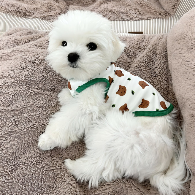 로커스 강아지 티셔츠, 녹색, 1개