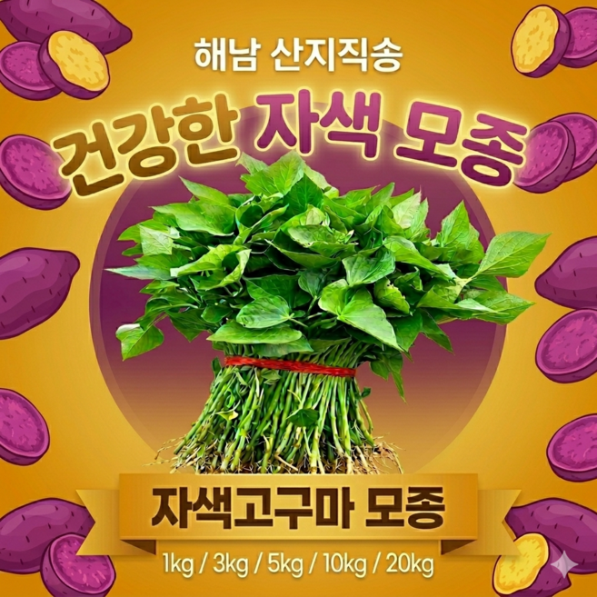 해남 자색고구마 모종 고구마순 건강재배 산지직송 1kg 3kg 5kg 10kg 20kg (온곳간), 1개